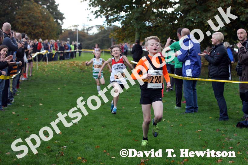 Orange 220 under-11 boys North East Harrier League, Blaydon. Photo: David T. Hewitson/Sports for All Pics